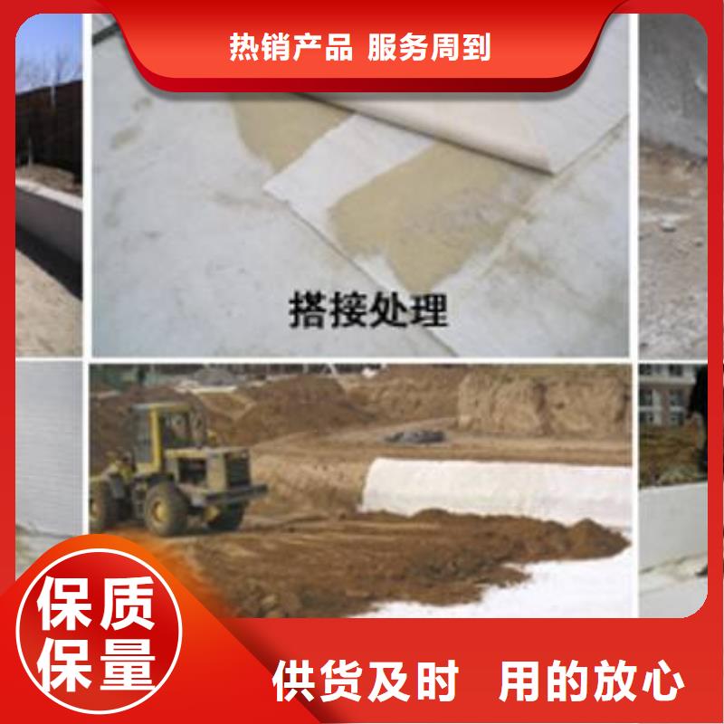 膨润土防水毯三维土工网垫全品类现货