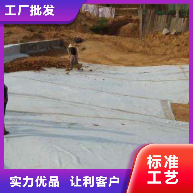 【膨润土防水毯,涤纶土工格栅现货批发】