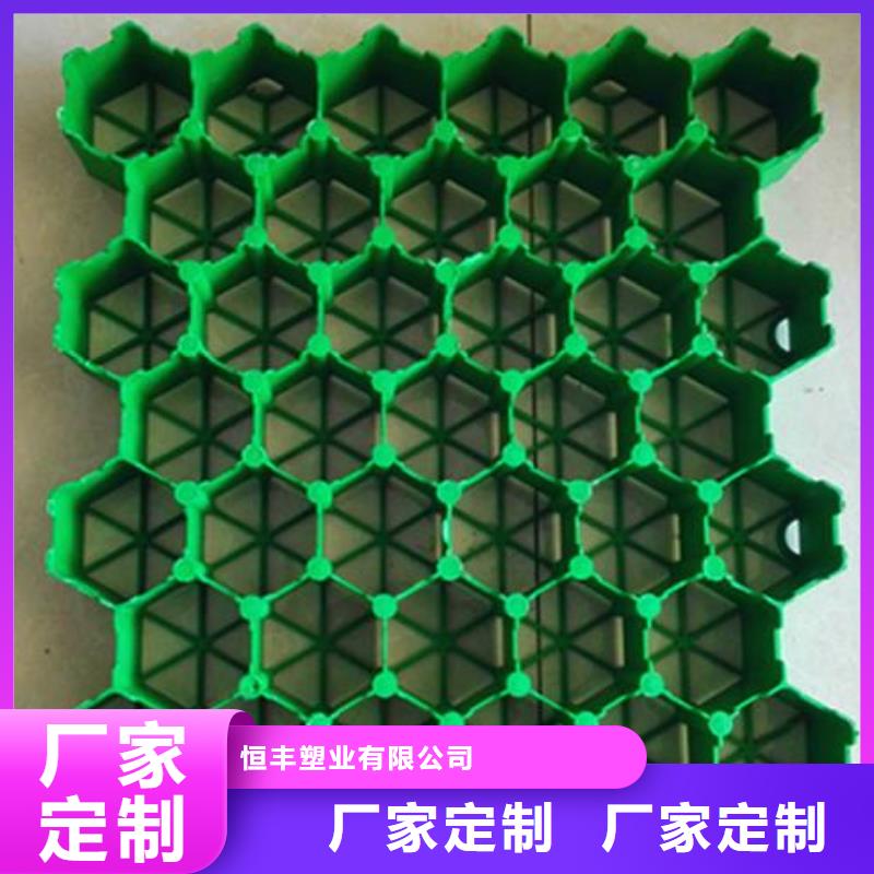 植草格【三维植被网】厂家新品