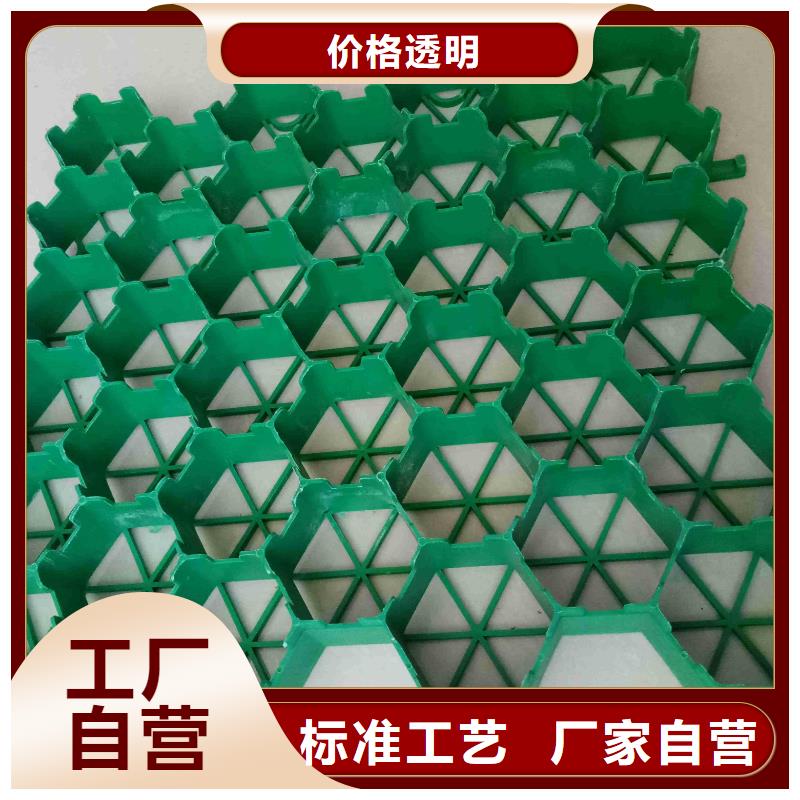 植草格【三维植被网】厂家新品