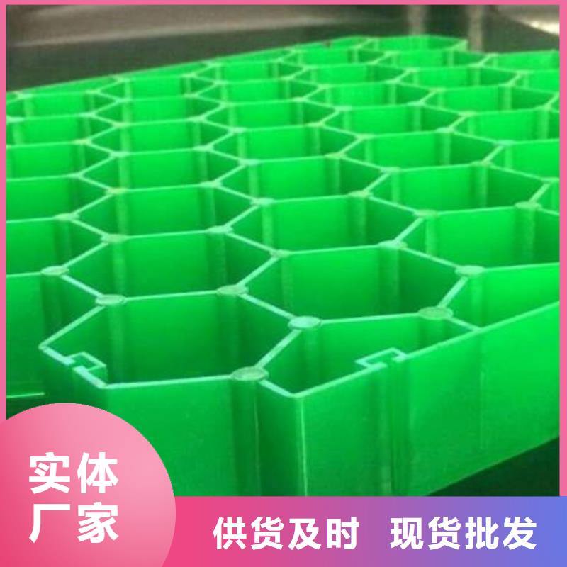 植草格【三维土工网垫】随到随提