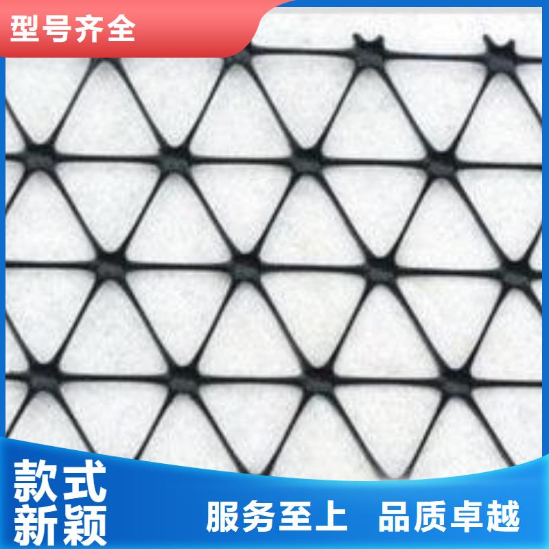 塑料土工格栅三维土工网垫大品牌值得信赖