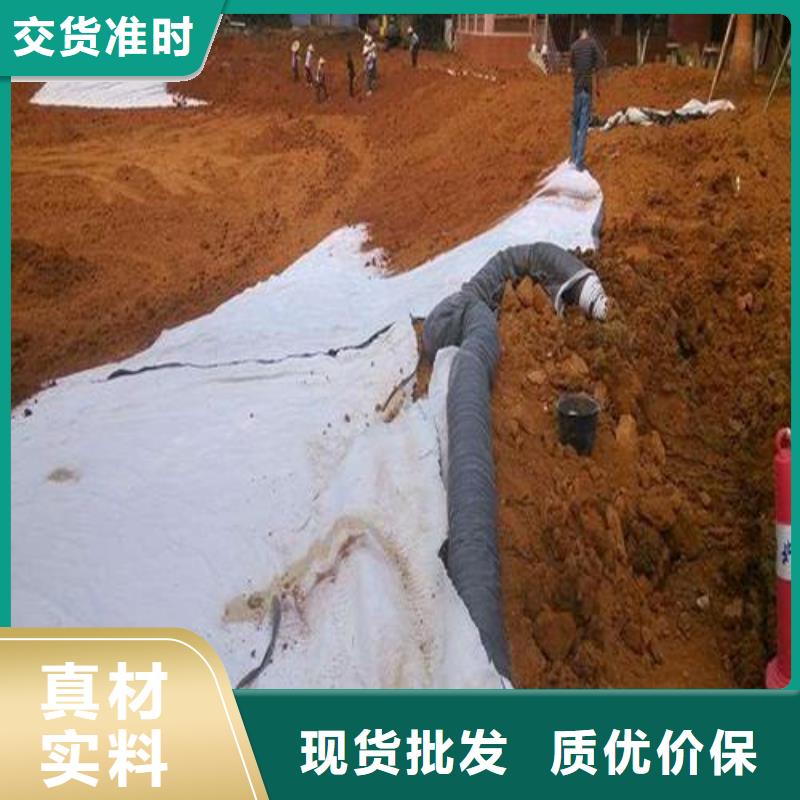 【膨润土防水毯防水土工布当地厂家值得信赖】