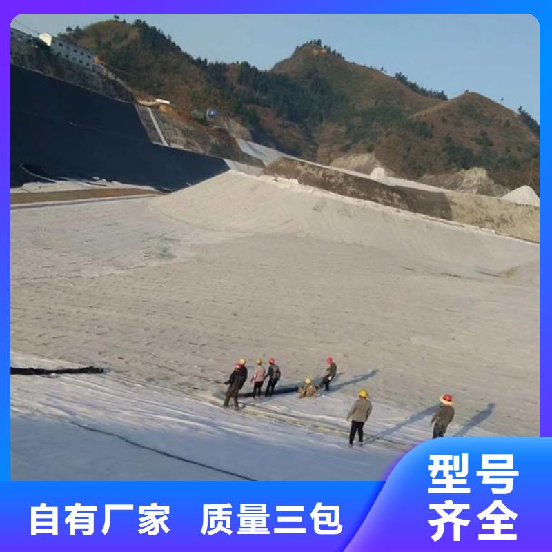 淮南人工湖用膨润土防水毯生产基地