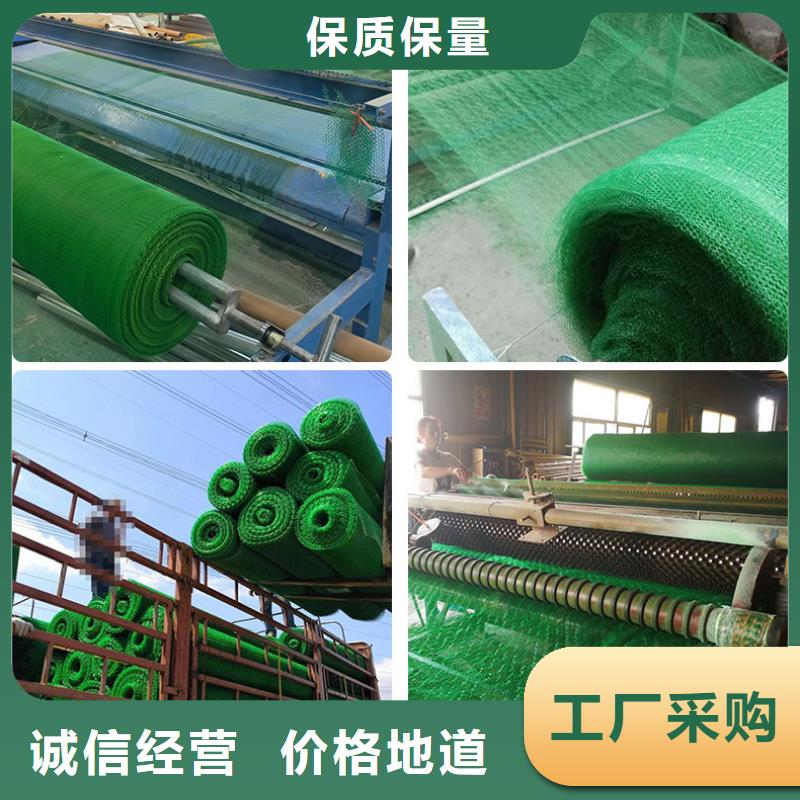三维植被网HDPE土工膜发货迅速
