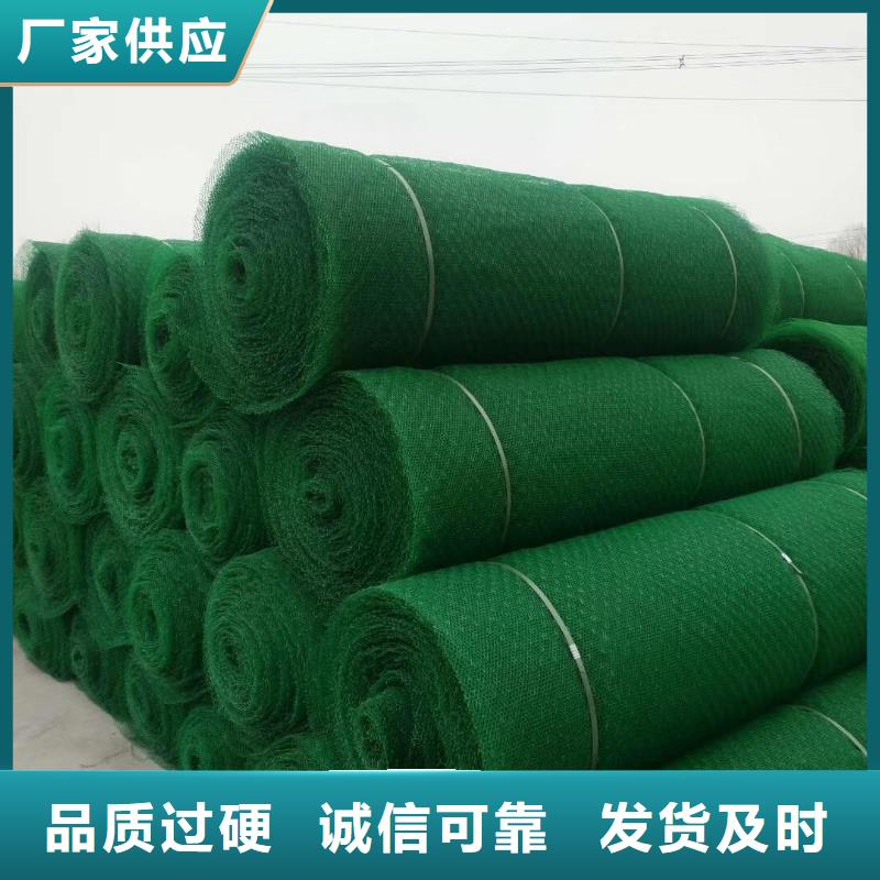 三维植被网三维土工网垫规格齐全实力厂家