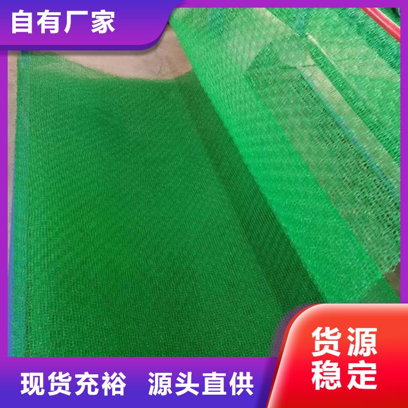 三维植被网HDPE土工膜发货迅速