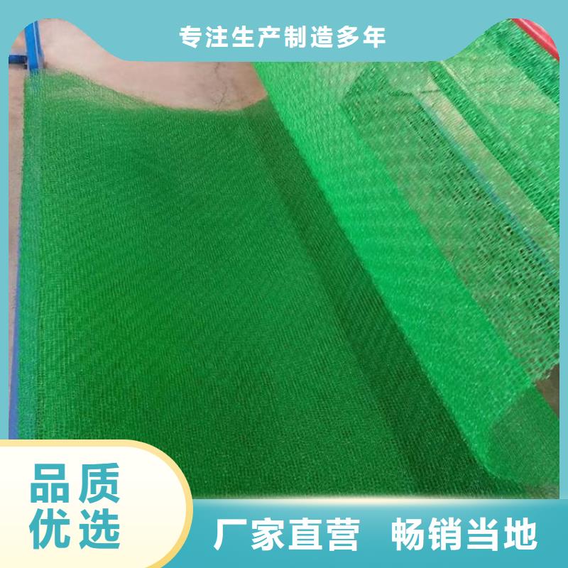 【三维植被网hdpe士工膜甄选好厂家】