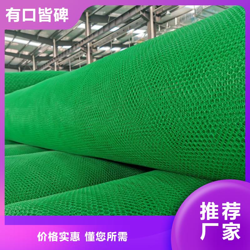 三维植被网钢塑土工格栅符合国家标准
