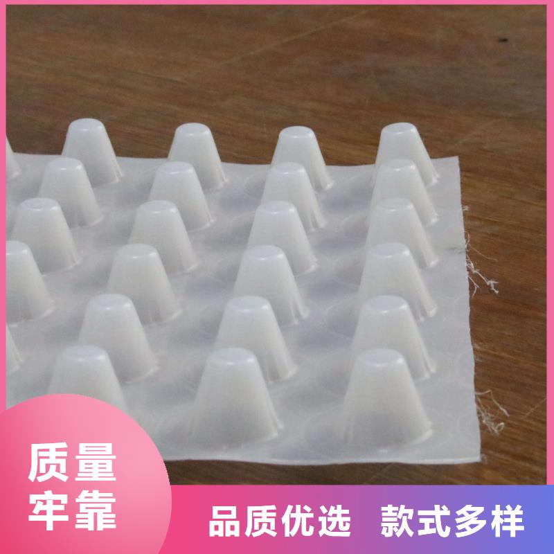 塑料排水板膨润土防水毯合作共赢