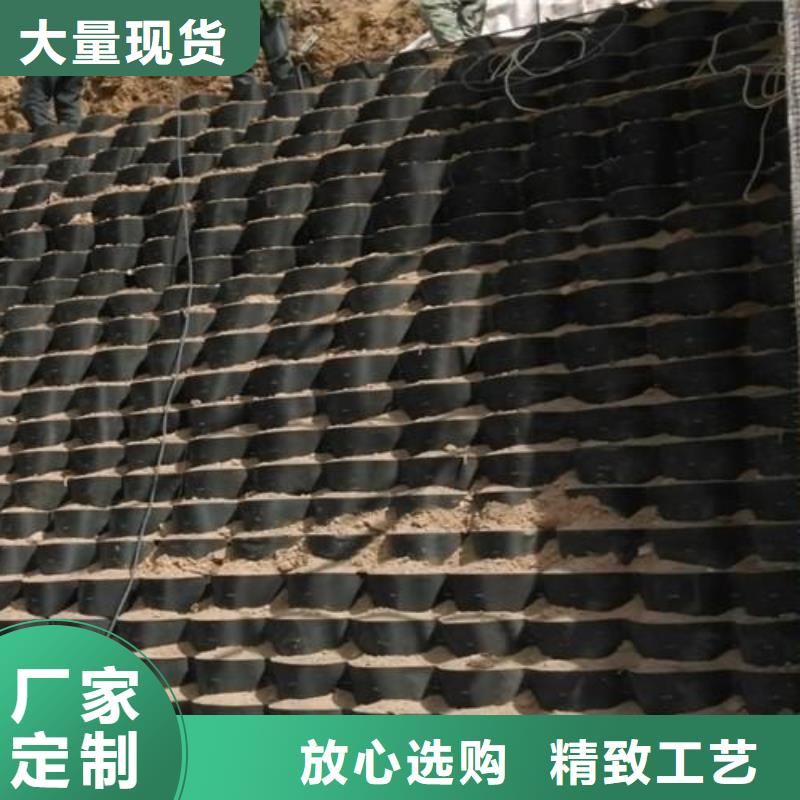 【土工格室】-涤纶土工格栅厂家