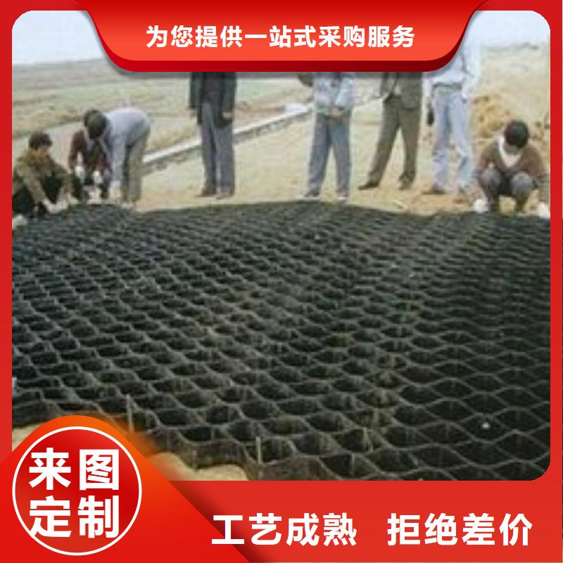 【土工格室】-涤纶土工格栅厂家