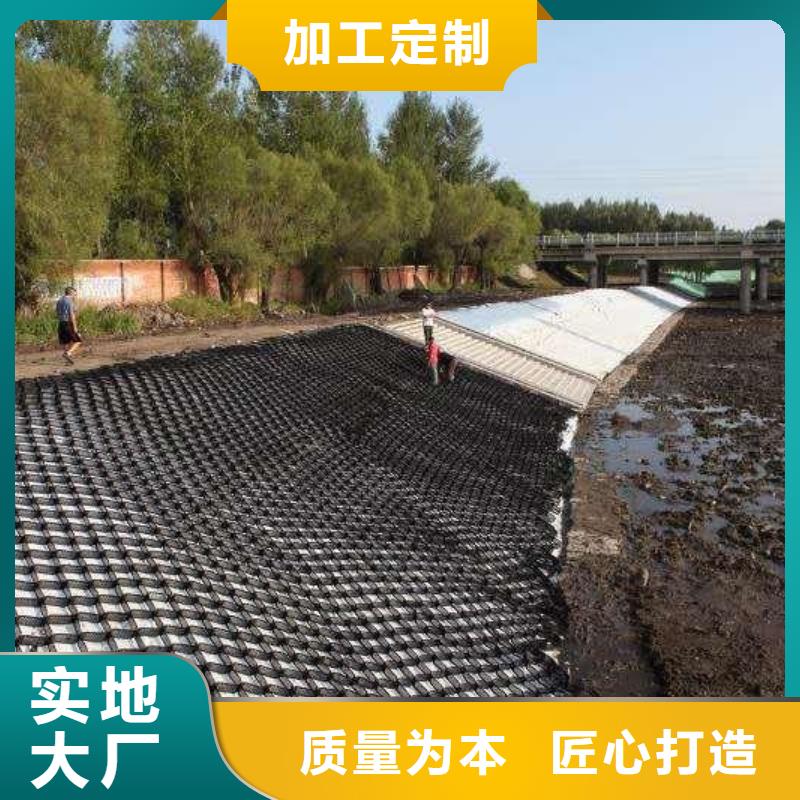 【土工格室】护坡土工网现货供应