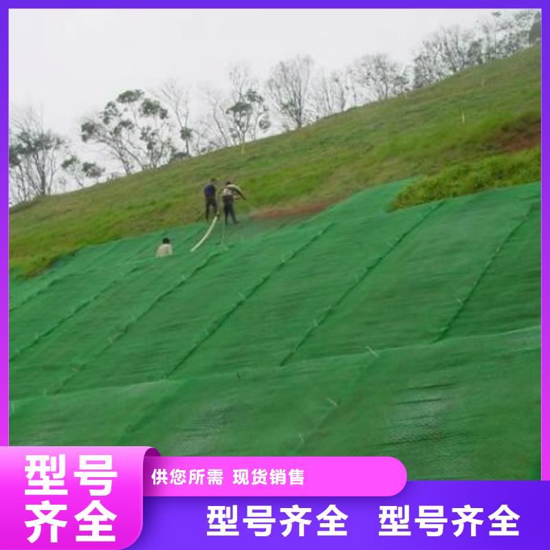 三维植被网-单向塑料格栅同行低价