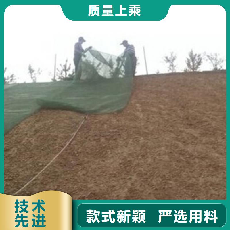 芜湖土工排水网厂家三维复合排水网价格三维土工复合排水网多少钱