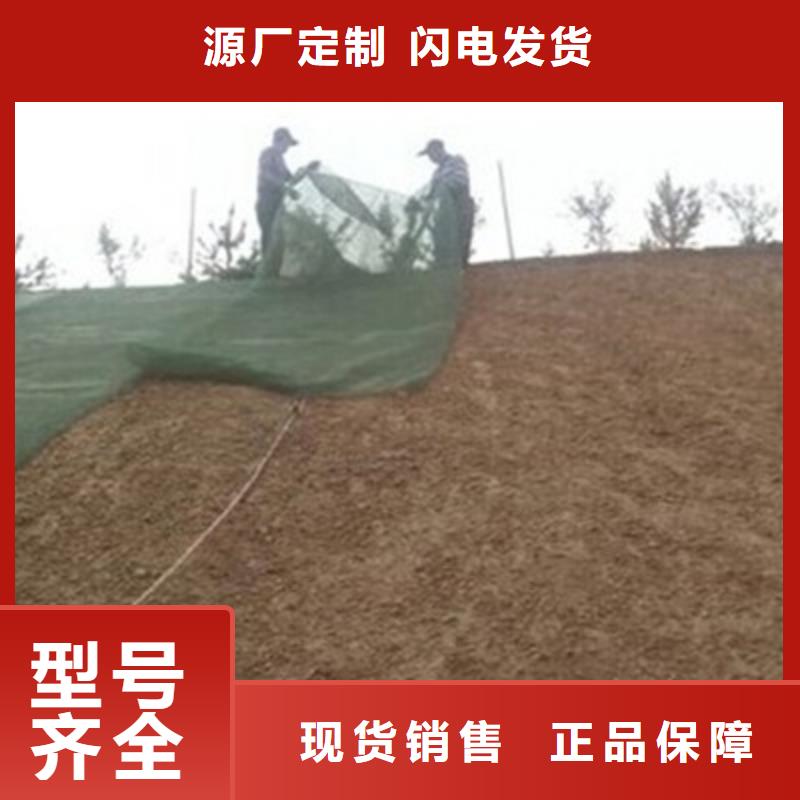 三维植被网-单向塑料格栅同行低价