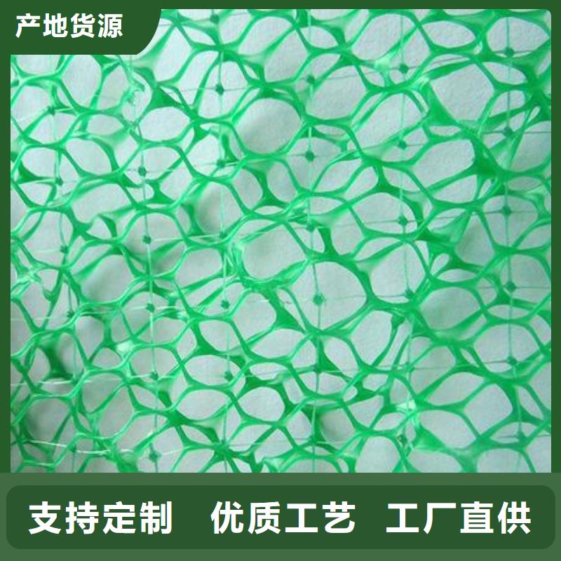 【三维植被网】双向塑料格栅信誉有保证