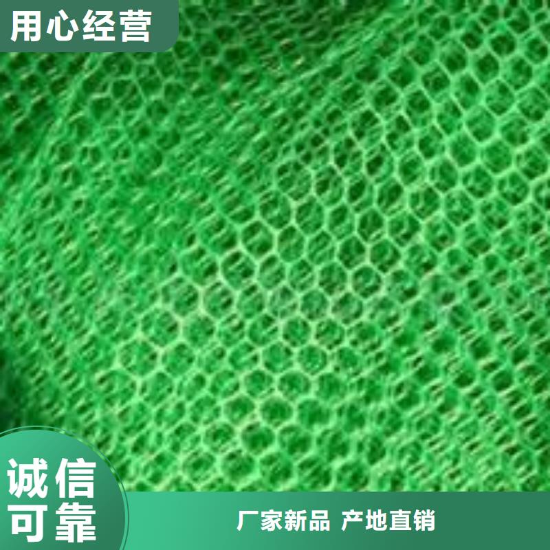 新疆三维排水网厂家三维排水网垫价格三维土工网垫多少钱