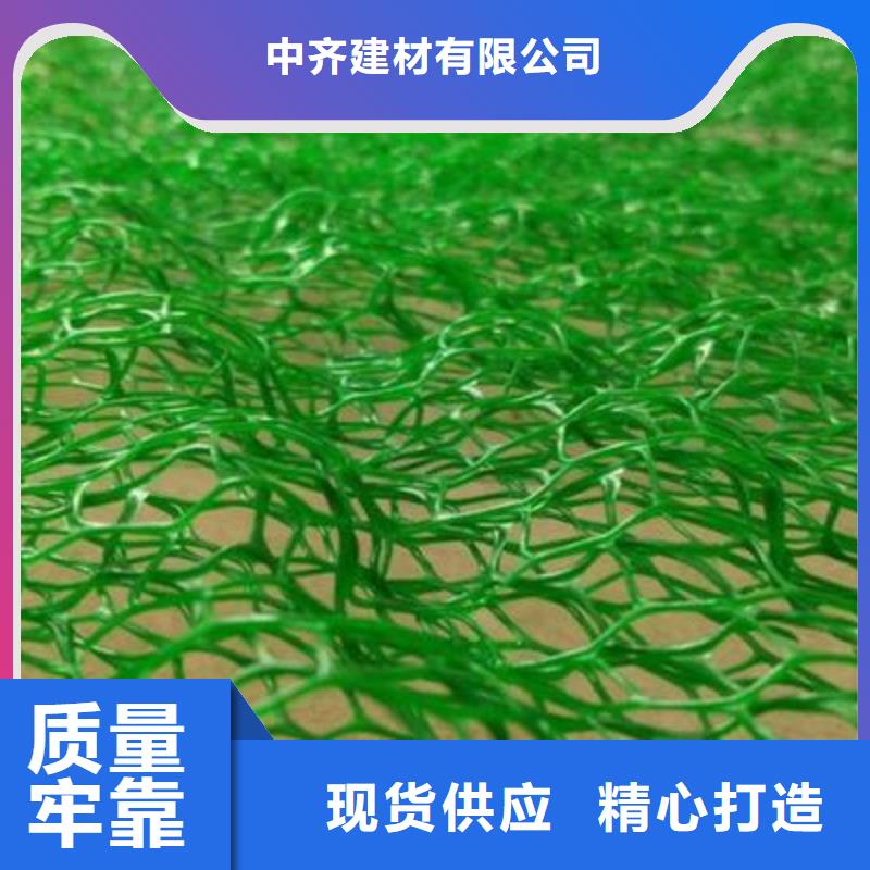【中齐】临高县三维土工网垫厂家三维排水网价格复合三维网多少钱