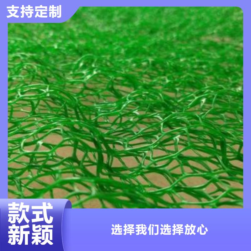 三维植被网双向塑料格栅追求品质