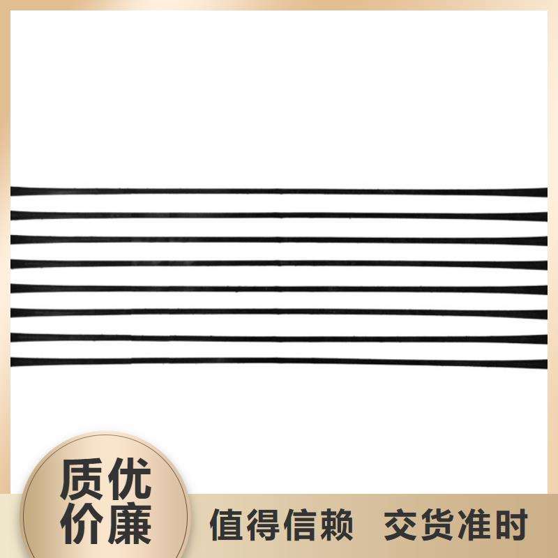 拉萨塑料养殖土工格栅定制可拉伸用单向塑料土工格栅塑料土工格栅