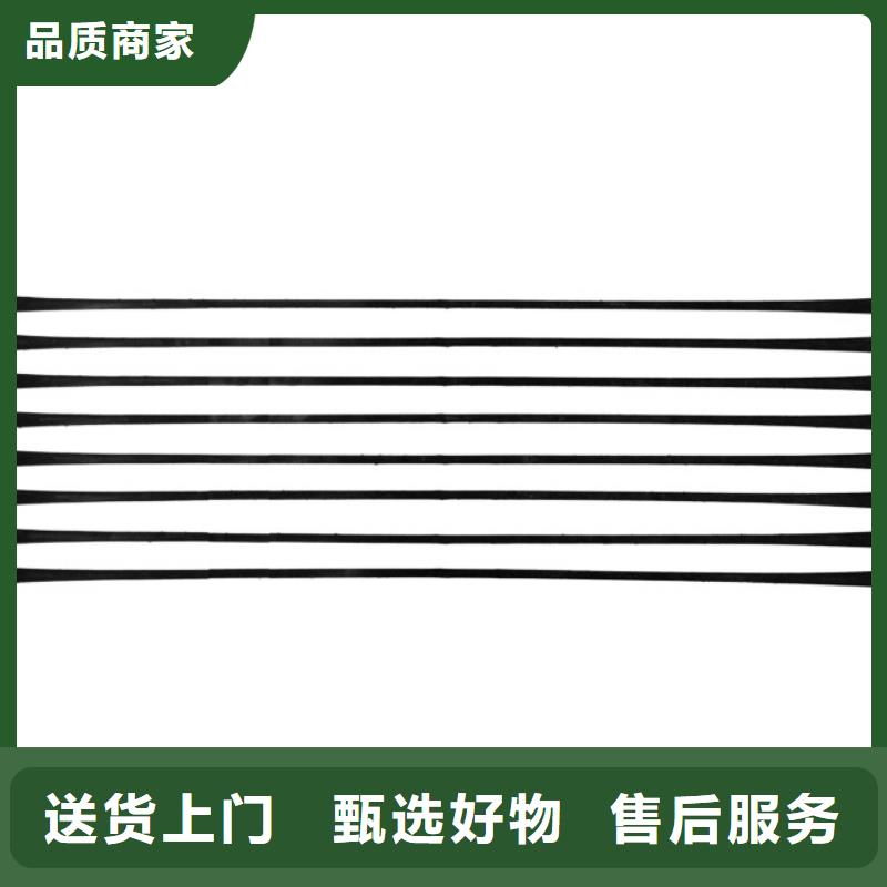 单向拉伸塑料格栅三维植被网货源直销