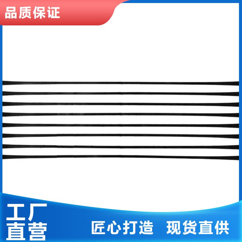 拉萨塑料养殖土工格栅定制可拉伸用单向塑料土工格栅塑料土工格栅