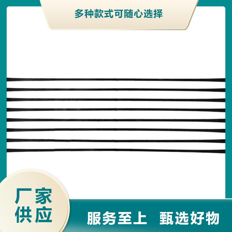 单向拉伸塑料格栅水土保护毯多种规格可选