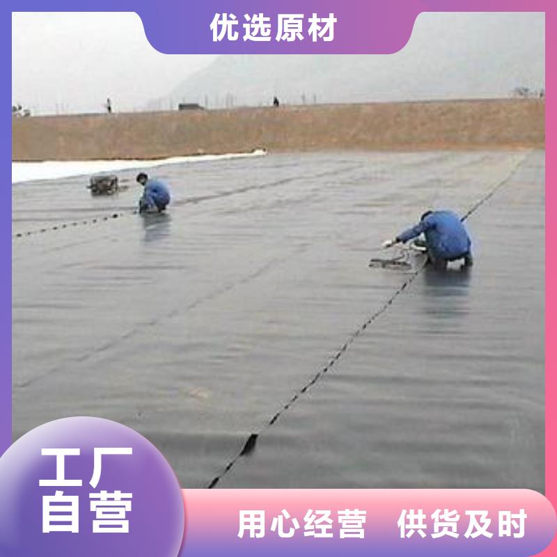 咸阳公路基础加固用防渗膜