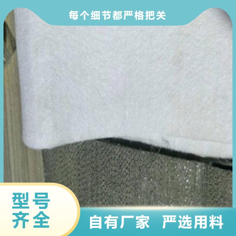 【土工布】PP焊接土工格栅质优价廉