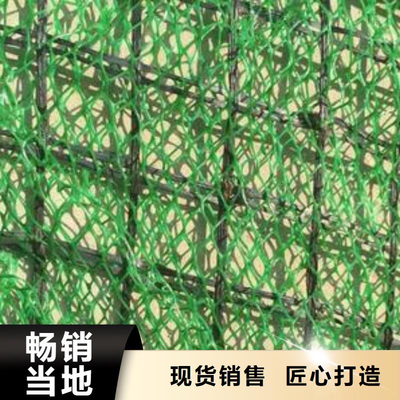 普洱三维植被网厂家三维植被网价格三维植被网量大从优