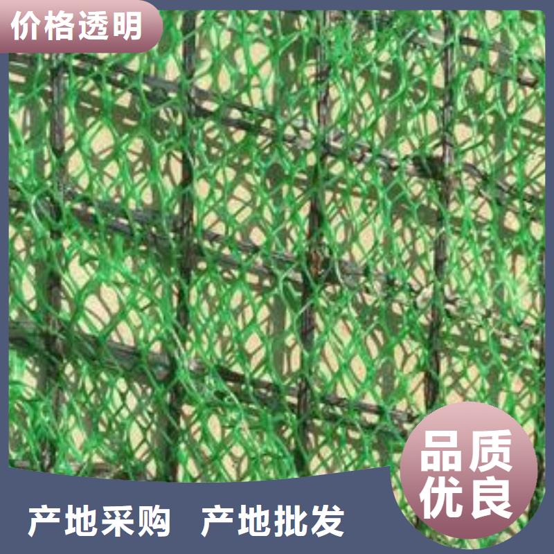 【三维植被网护坡土工网多种工艺】