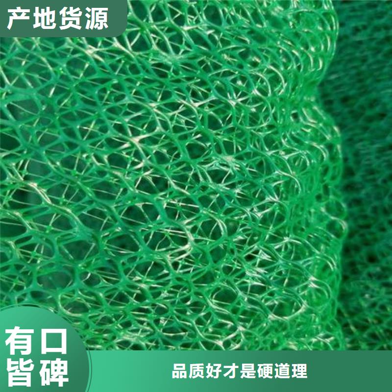 衡水泰安-三维植被网厂家价格-三维植被网报价2024