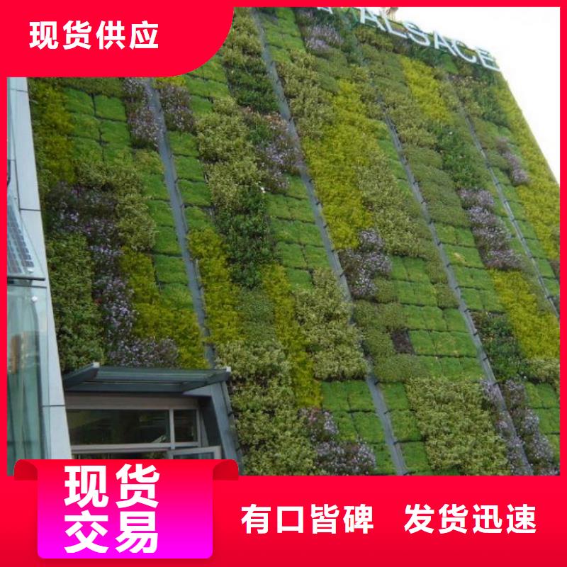 吉安em4三维植被网植草护坡固土