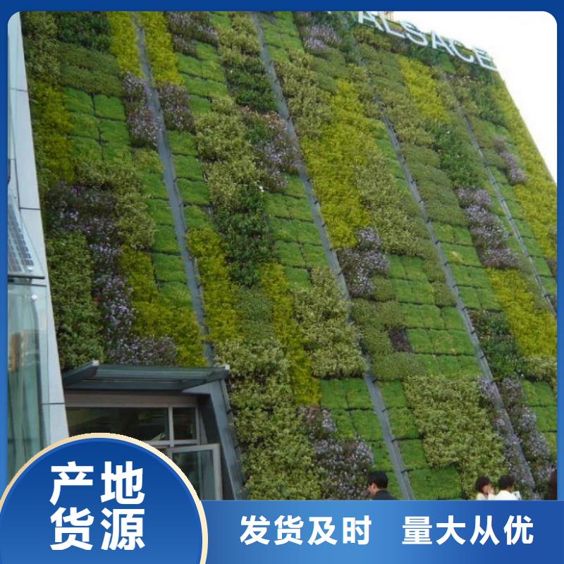 西藏市政工程边坡防护用三维植被网