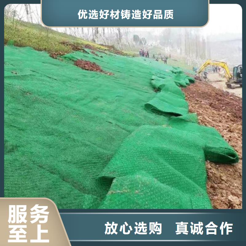 吉安em4三维植被网植草护坡固土