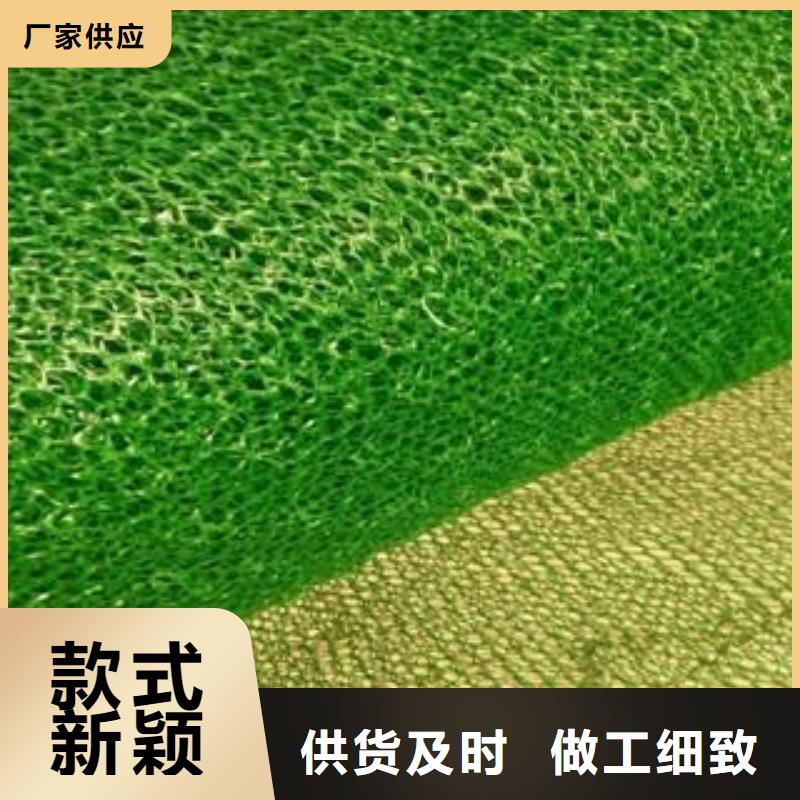 【三维植被网_软式透水管细节决定品质】