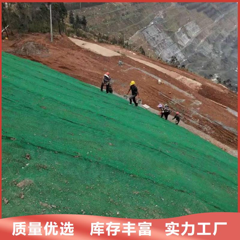 鹤岗三维植被网价格