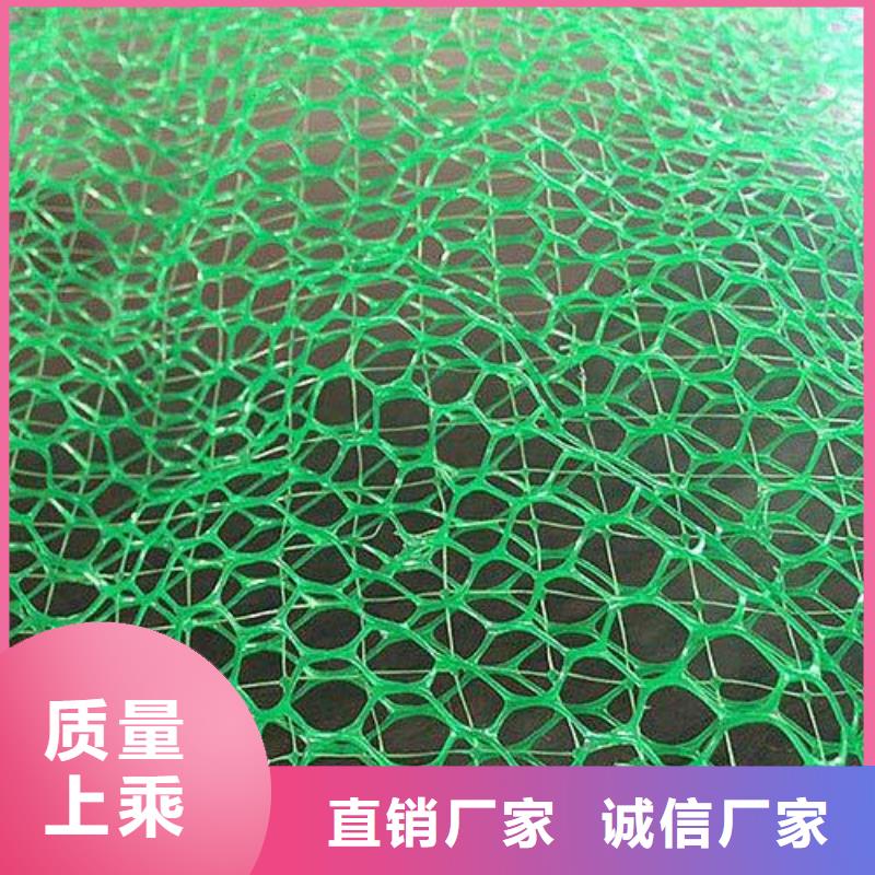 附近【鼎诺】三维植被网软式透水管设备齐全支持定制