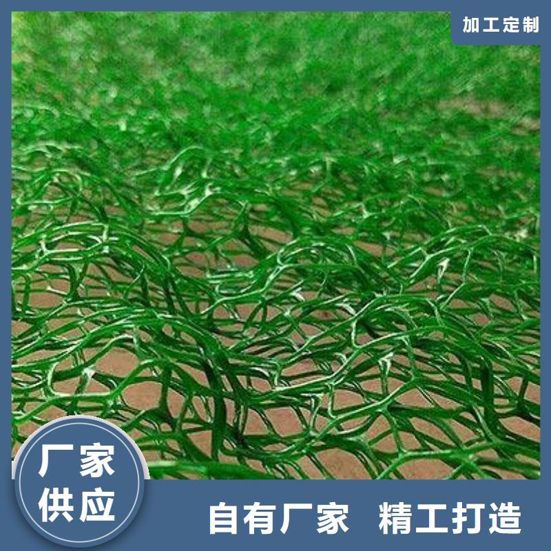 鼎诺土工材料有限公司-<鼎诺> 本地 安庆批发植草护坡三维土工网垫