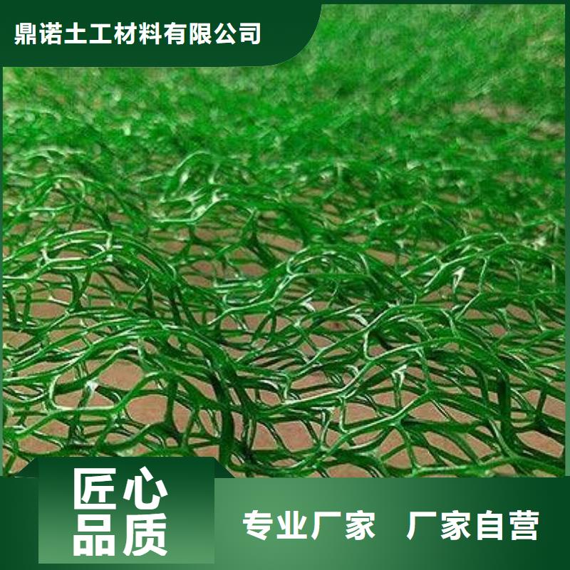 甄选：湘潭绿化植草三维土工网垫-鼎诺土工材料有限公司