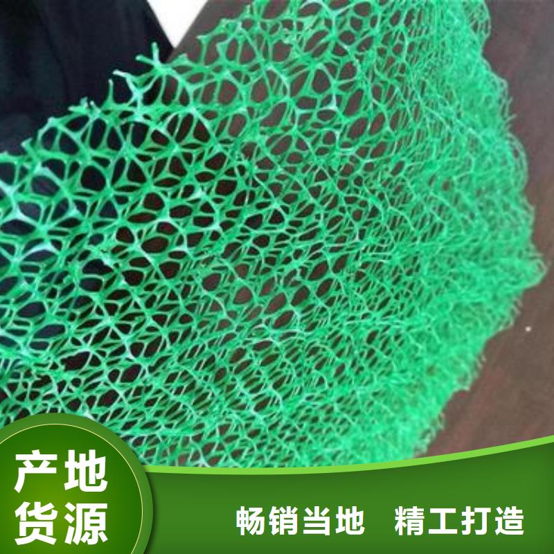 鼎诺土工材料有限公司-<鼎诺> 本地 安庆批发植草护坡三维土工网垫