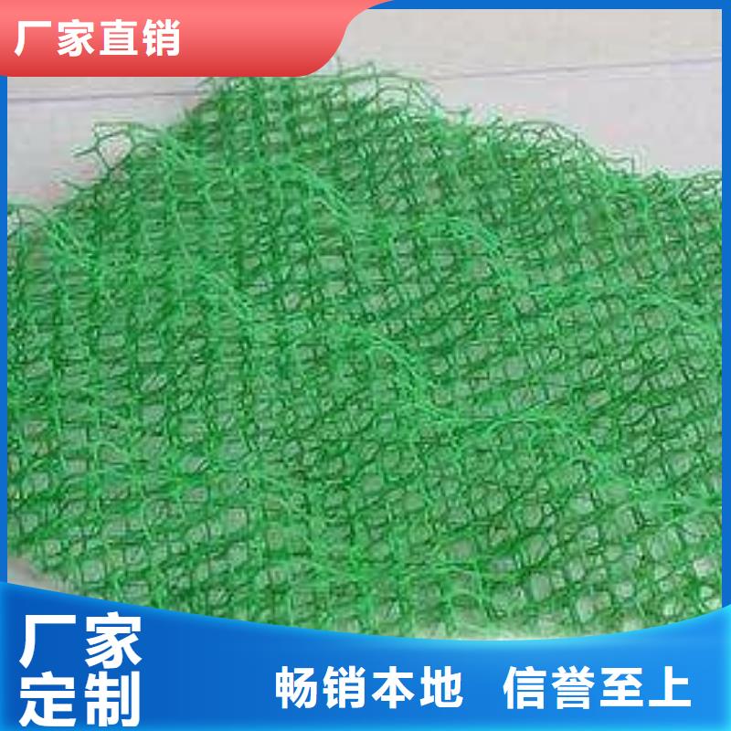 甄选：湘潭绿化植草三维土工网垫-鼎诺土工材料有限公司