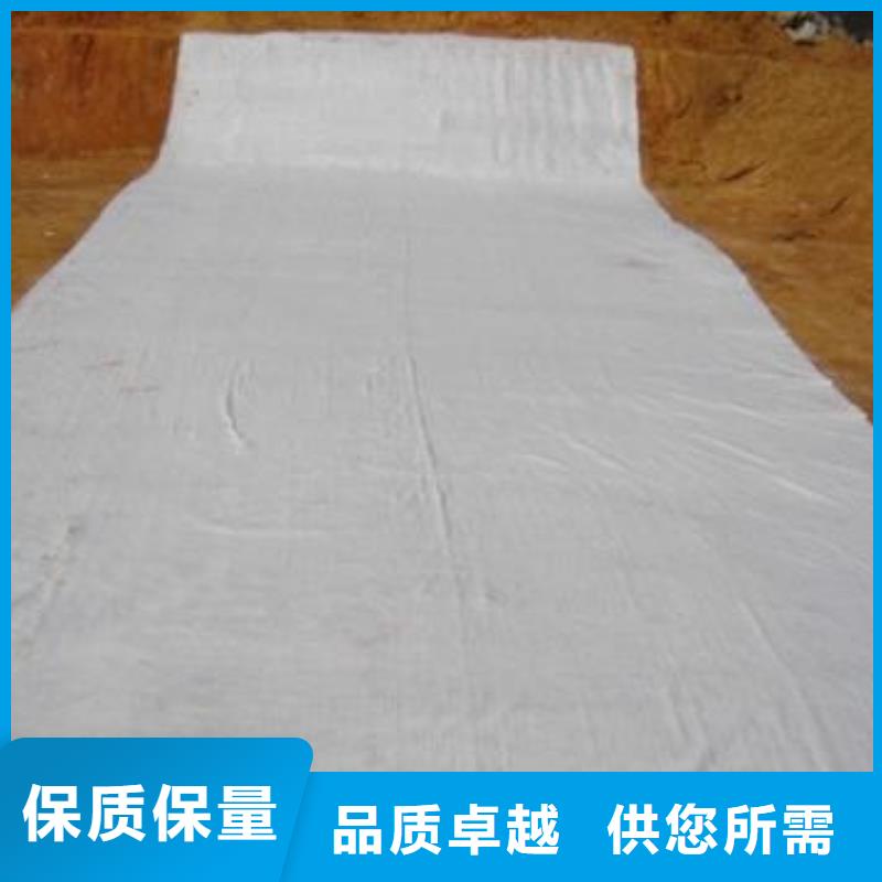 【膨润土防水毯_钢塑土工格栅品质信得过】