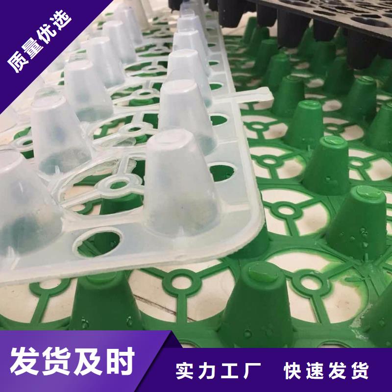 塑料排水板土工布价格专注生产N年