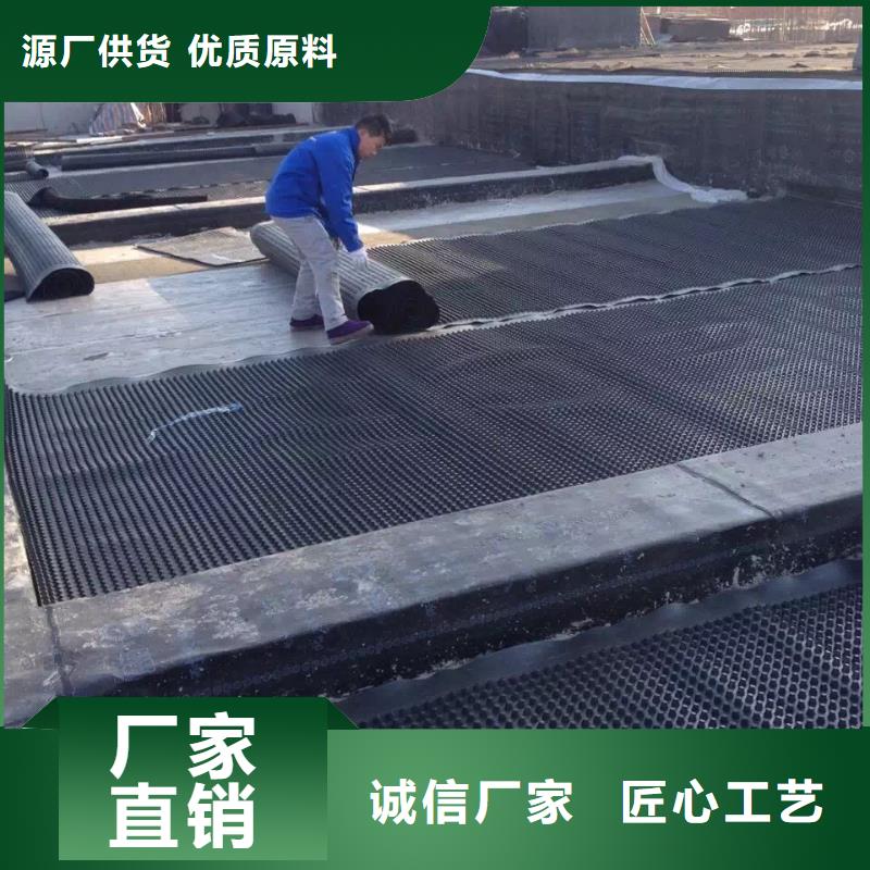 塑料排水板-【钢塑土工格栅厂家】用途广泛