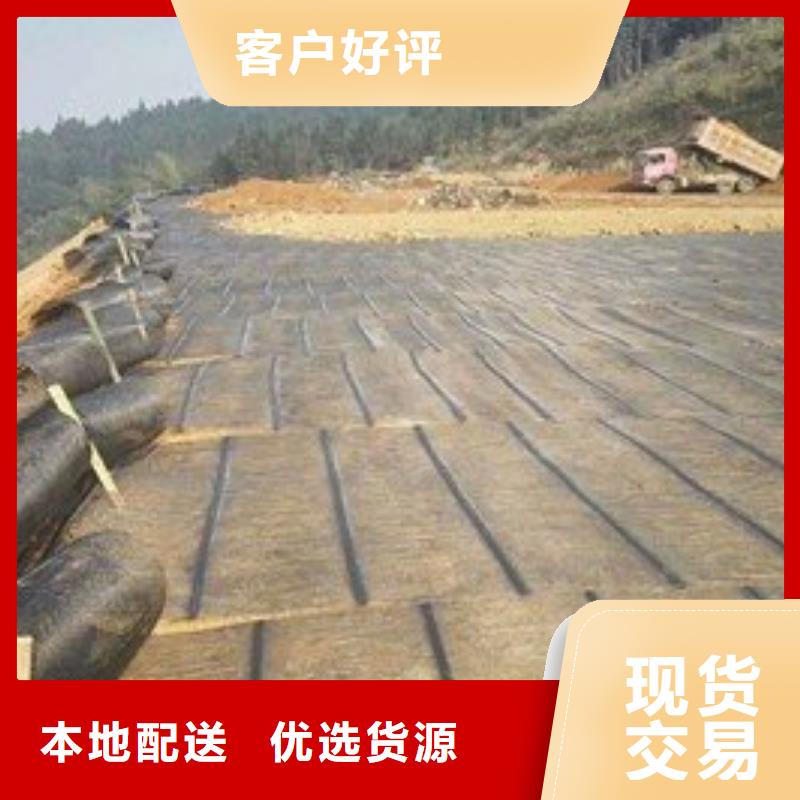 苏州玻纤土工格栅_钢塑土工格栅_塑料土工格栅厂家直销