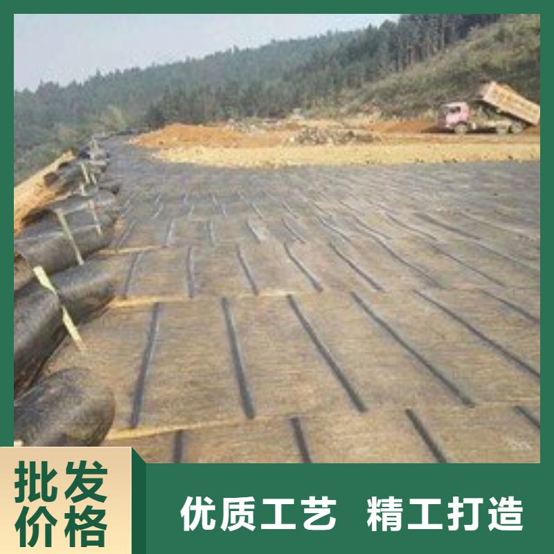 西双版纳经编涤纶土工格栅厂家防渗反滤道路养护环保防尘