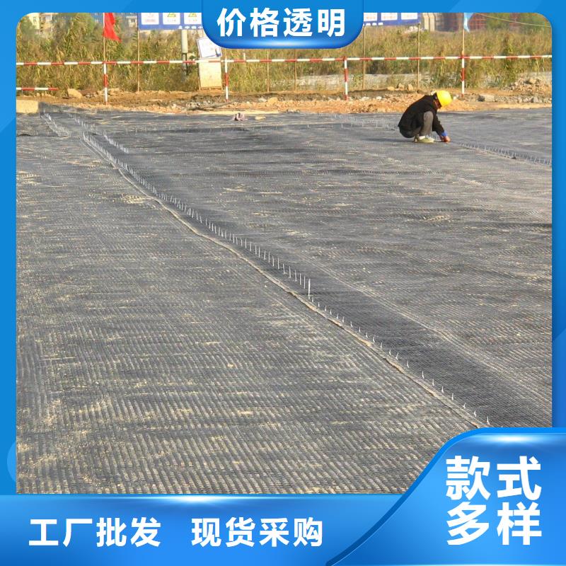 昆明经编涤纶土工格栅厂家防渗反滤道路养护环保防尘