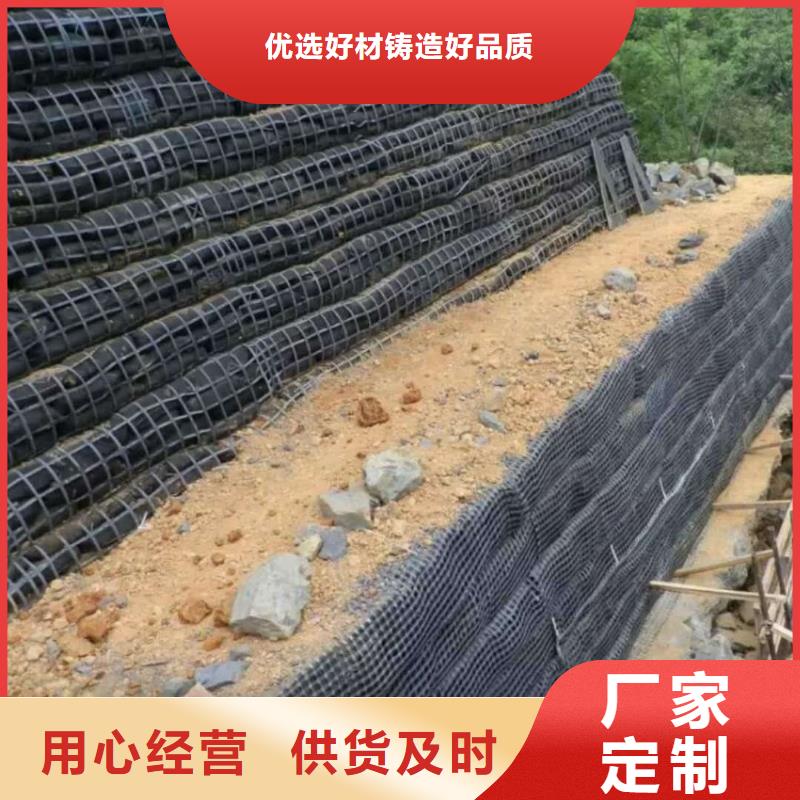 昆明经编涤纶土工格栅厂家防渗反滤道路养护环保防尘